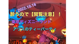 酔うので【閲覧注意】！ 東京ディズニーランド アリスのティーパーティ 擬似体験