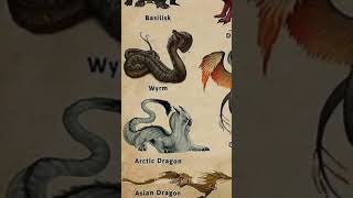 Types Of Dragons | Arctic Dragon | Part- 3 #shorts