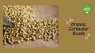 Bubble Organic Coriander Seeds