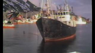 Sørvågen havn båt på bunnen båt trekt av grunn 1986