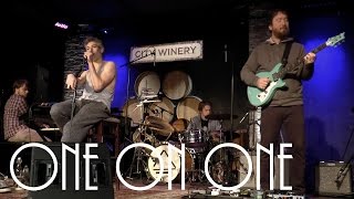 ONE ON ONE: Matisyahu March 4th, 2015 City Winery New York Full Session