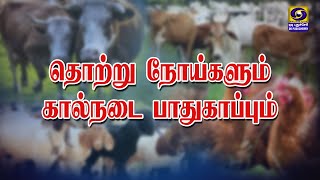 தொற்று நோய்களும் கால்நடை பாதுகாப்பும் | 03.06.2024