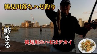 【鯵まるチャンネル】鶴見川落ちハゼ釣り‼️  鶴見川のハゼはデカイ‼️  鶴見川で嬉しい外道も😊