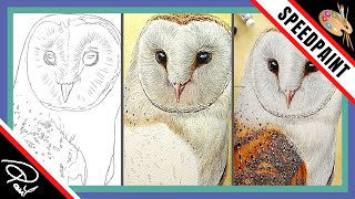 Watercolour Time-Lapse on Painting an Owl in Realistic Detail