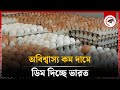 অবিশ্বাস্য কম দামে ডিম দিচ্ছে ভারত | Egg Price | India | Kalbela