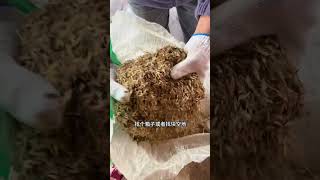 不用地窖如何储存红薯过冬？收回来的红薯吃不完，就用这个方法储存起来，可以一直吃到明年种菜小技巧我的小菜园一起学种菜