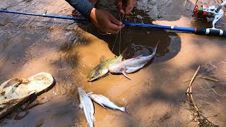 Real-Life Cambodia Fishing at Me Kong river | Fishing For Life