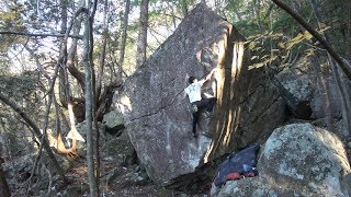 恵那笠置山 「エンパシー 三段-」「青坊主 初段」