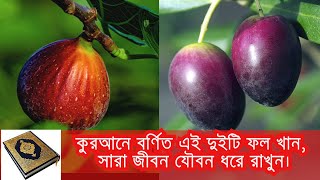 সারা জীবন যৌবন ধরে রাখুন কোরআনে বর্ণিত এ দুটি ফল খেয়ে। teen and zaitun.#youtube  #islam