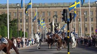 sveriges nationaldag 2017