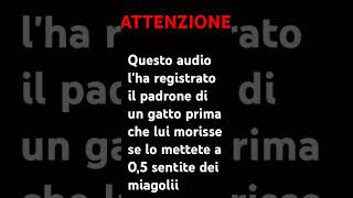 ATTENZIONE