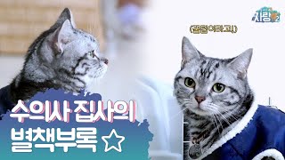 showoff 수의사 집사의 별책부록 - 집사인 게 자랑2 10화 비하인드 171227 EP.10