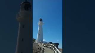 வெலிங்டன் To காஸில் பாயிண்ட் கலங்கரை விளக்கம்(lighthouse) A day trip from wellington.