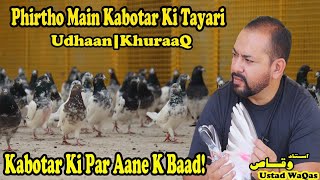 Ustad Waqas|Kabotar K Par Aane K Baad|Phirtho Main Kabotar Ki Tayyari|Udhaan|Khuraaq Kab Dey|Tips