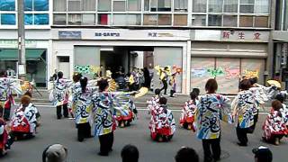 福井大学よっしゃこい「2011 響宴」 犬山踊芸祭 下本町会場