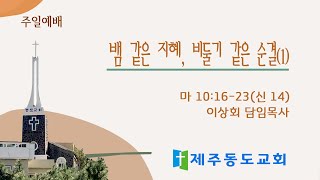 241020[주일예배] 뱀 같은 지혜, 비둘기 같은 순결[1]  - 이상회 목사