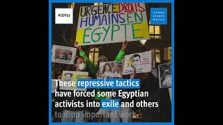 Egypt Restricting Environmental Activists #shorts