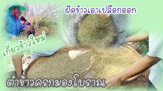 ตำข้าวครกมองโบราณ#ตำข้าวเม่า#ตำข้าว#ฝัดข้าว