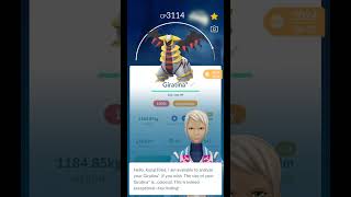 100% IV Legendary Pokémon Giratina in Pokémon Go 💥 #100iv #pokemon #pokemongo #pokemonshorts #shorts