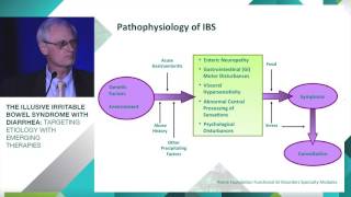 IBS-D: Pathophysiology and Treatment