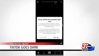 TikTok goes dark in the U.S.