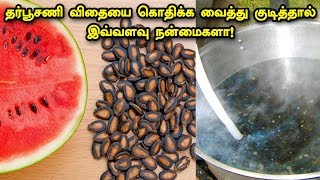 தர்பூசணி விதையை கொதிக்க வைத்து குடித்தால் இவ்வளவு நன்மைகளா! | Benefits of Watermelon Seeds