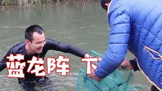 劉叔嫌我們的“藍龍蝦”沒面子，這下有的愁了！ 【鄉野M仔】