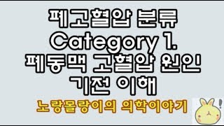 폐고혈압 분류(catergory 1, pulmonary arterial hypertension) 원인과 기전 이해