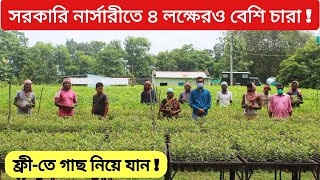 ৪ লক্ষেরও বেশি চারা গাছ | রাঙাডি নার্সারী বলরামপুর | পশ্চিমবঙ্গ সরকারের একটি মহৎ  উদ্যোগ | #নার্সারী