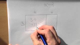 2.4 Multiplikation med en parentes