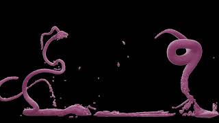 RENDER Flip Fluid Curve Field Force With Viscosity