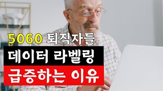 점점 더 많은 50대 60대 퇴직자들이 데이터 라벨링으로 노후 생활비를 벌고 있는 이유 초보라도 데이터 라벨링 시작하는 방법과 고급 정보를 얻는 방법