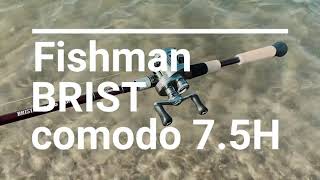 Fishman / BRIST comodo 7.5h