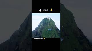 උතුම් ශ්‍රී පාදය 🙏 #adamspeak vesak #vesaksrilanka #beautiful #fypシ #viral #foryou #amazing #nature