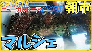 ニューカレドニア旅行Vlog#17 おかんとマルシェに行ってきたよ☆ヌメアの朝市【南国リゾート旅行動画】