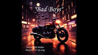 Bad Boys di FM Mulino