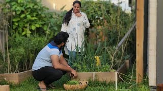 Garden Tour end of 2024| Garden making | Last few harvests from my garden. 😍🥳