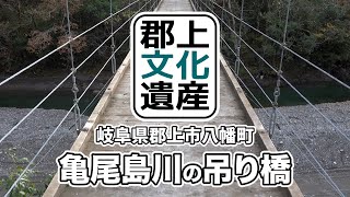 【郡上文化遺産】亀尾島川の吊り橋