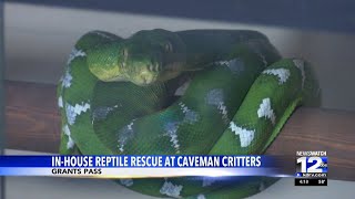 Inside Caveman Critters: Grants Pass woman runs reptile rescue from home