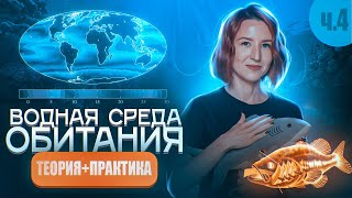 ВОДНАЯ СРЕДА ОБИТАНИЯ (4/6) | Теплоёмкость и содержание кислорода | ЕГЭ-2025 по биологии