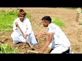 ફુમતાળજી ને ગાજર કેમ પડ્યા ભારે guarati comedy video sb hindustani