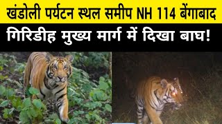 खंडोली पर्यटन स्थल समीप NH 114 बेंगाबाद गिरिडीह मुख्य मार्ग में दिखा बाघ!किसी ने कहा लकड़बग्घा है