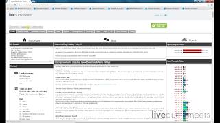 How to Clerk Your Auction