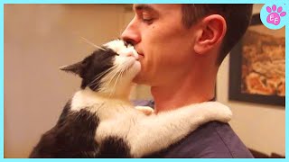 My Best Friend Is a Cat ❤️🐱 Heartwarming Moments Between Cats and Humans