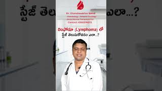 లింఫోమా (Lymphoma) లో స్టేజ్ తెలుసుకోవడం ఎలా