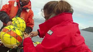 ASTRAL IMTA Lab - Argentina. Partners CADIC-CONICET, placing sensors in the Beagle Channel.