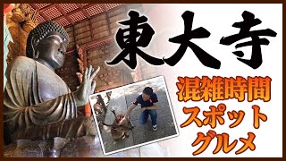 【東大寺】究極解説！超効率的な東大寺のの楽しみ方と観光スポット紹介【春日大社】