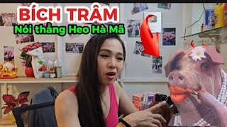 Nóng : BÍCH TRÂM Bất Ngờ Nói Thẳng Heo Hà Mã ....Trưa 2/12