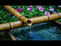 salinan dari piano music for deep relaxation and stress relief aesthetic bamboo u0026 water fountain