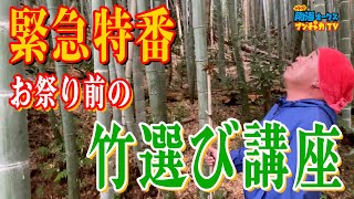 350年 伝承の知恵「手筒花火の竹の選び方」を惜しげもなく大公開！楽しく、安全で、勇壮な手筒花火を出すための竹の選び方講座開校！the南海オークスのブンチャカTV